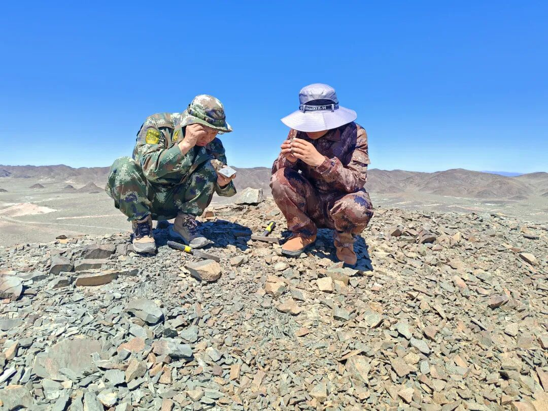 1768275114280072.png 圖片3.png